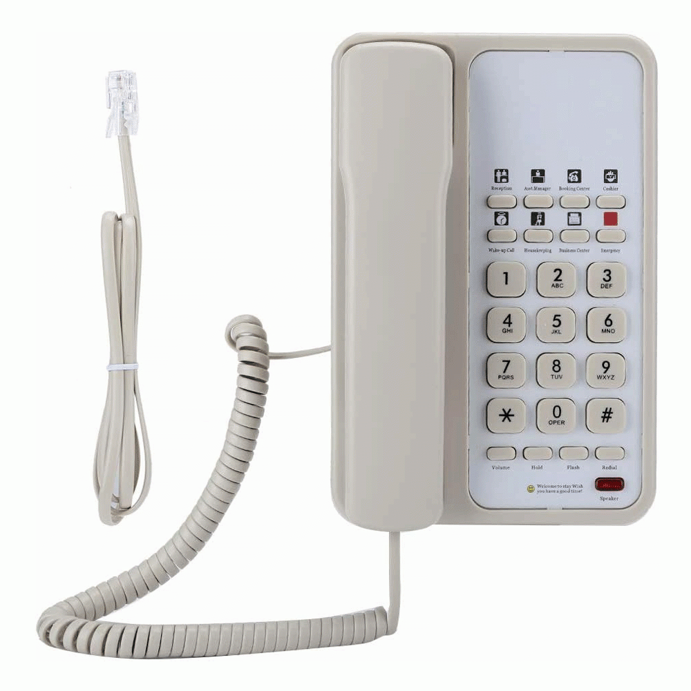 SN-0005BEIG 4