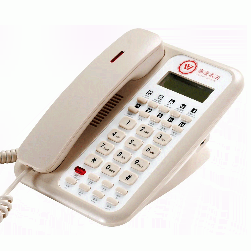 ACE-8902B-BEIG 2