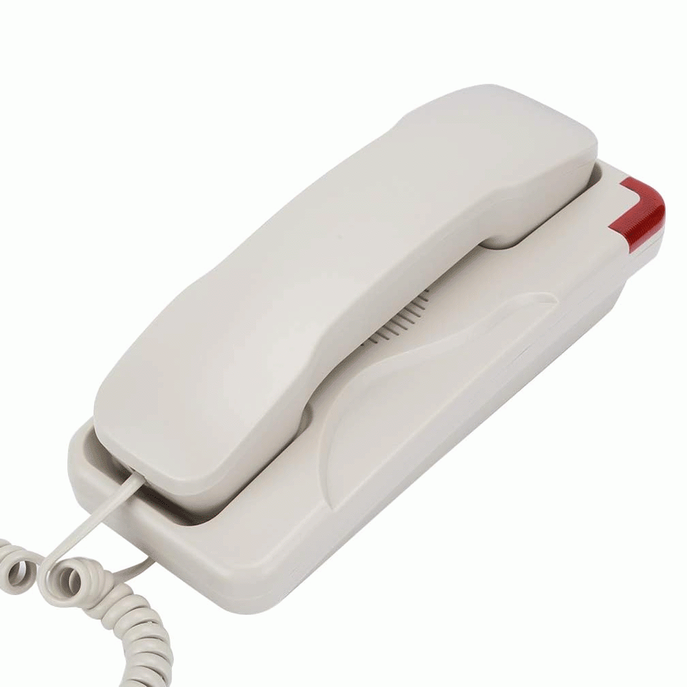 SN-0012BEIG 12