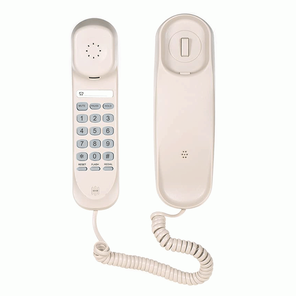 SN-0011BEIG 2