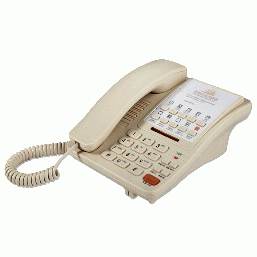 SN-0010BEIG 3