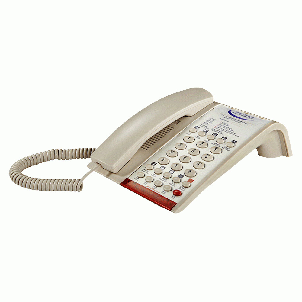 SN-0009BEIG 3