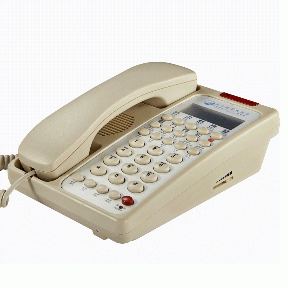 SN-0006BEIG 2