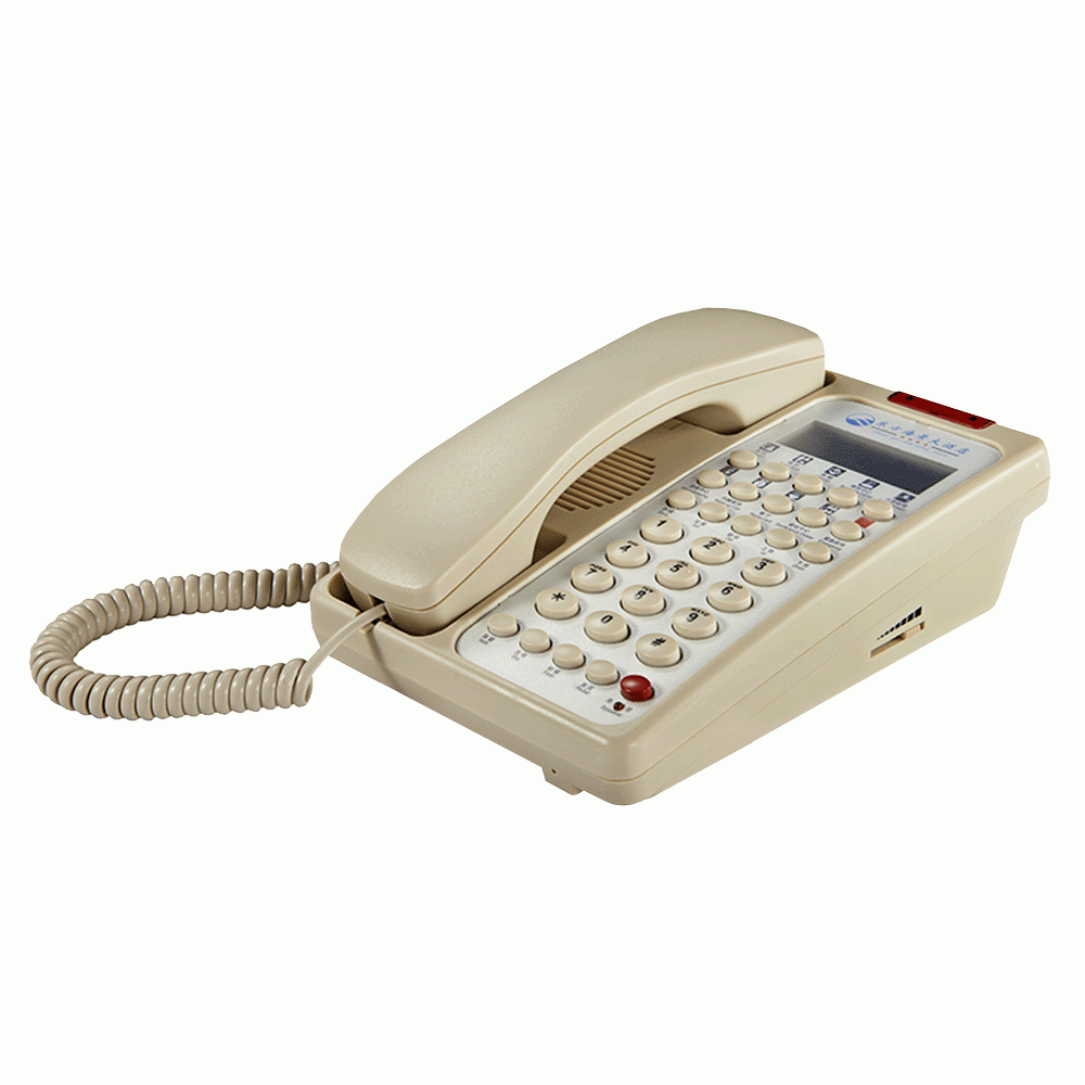 SN-0006BEIG 3