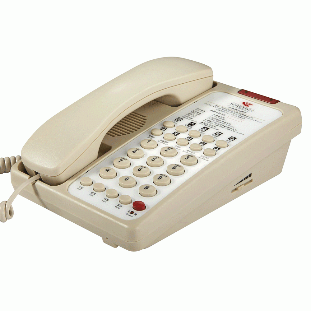 SN-0003BEIG 2